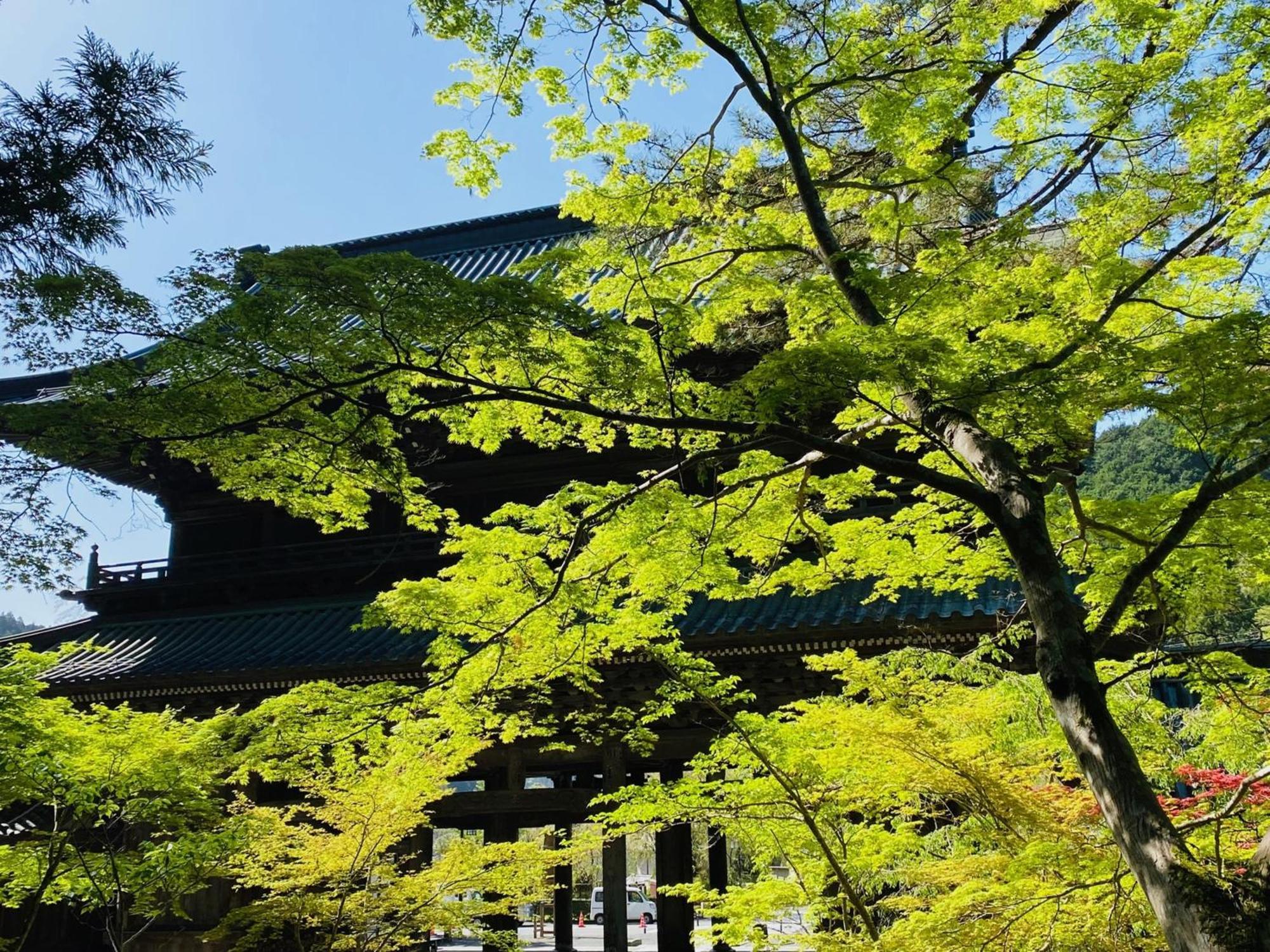 Ryokan Tanakaya Minobu Eksteriør bilde