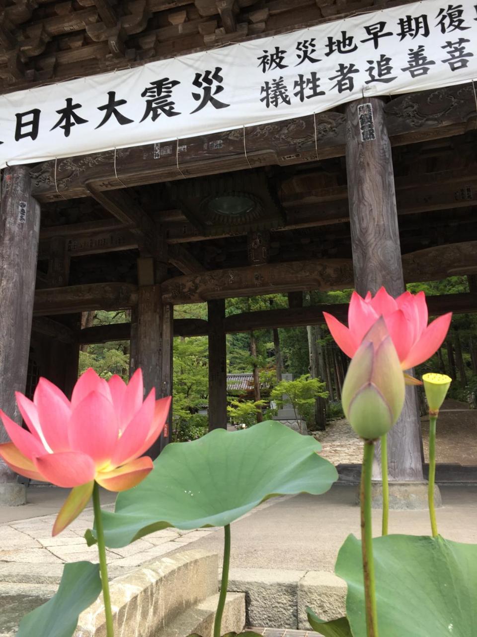Ryokan Tanakaya Minobu Eksteriør bilde